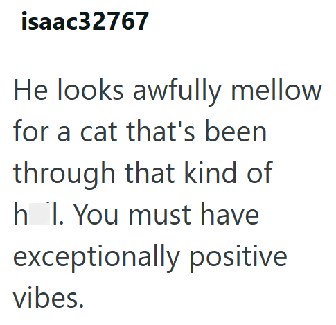 isaac32767 He looks awfully mellow for a cat that's been through that kind of h I. You must have exceptionally positive vibes.