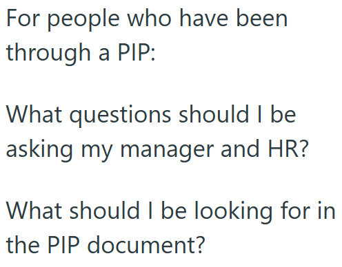 For people who have been through a PIP: What questions should I be asking my manager and HR? What should I be looking for in the PIP document?