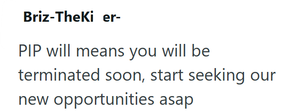 Briz-TheKi er- PIP will means you will be terminated soon, start seeking new opportunities asap our