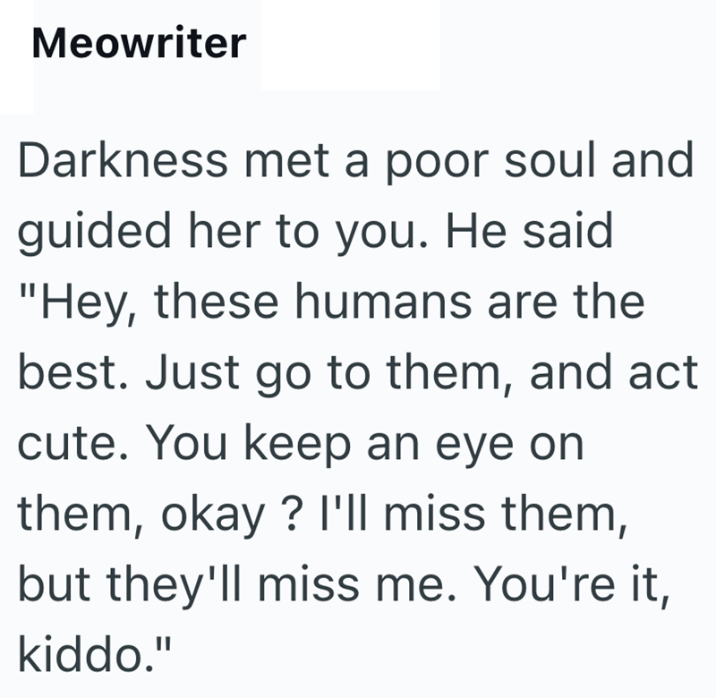 Meowriter Darkness met a poor soul and guided her to you. He said "Hey, these humans are the best. Just go to them, and act cute. You keep an eye on them, okay? I'll miss them, but they'll miss me. You're it, kiddo."