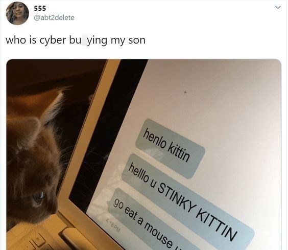 555 @abt2delete who is cyber bu ying my son henlo kittin helllo u STINKY KITTIN go eat a mouse 4:18 PM <