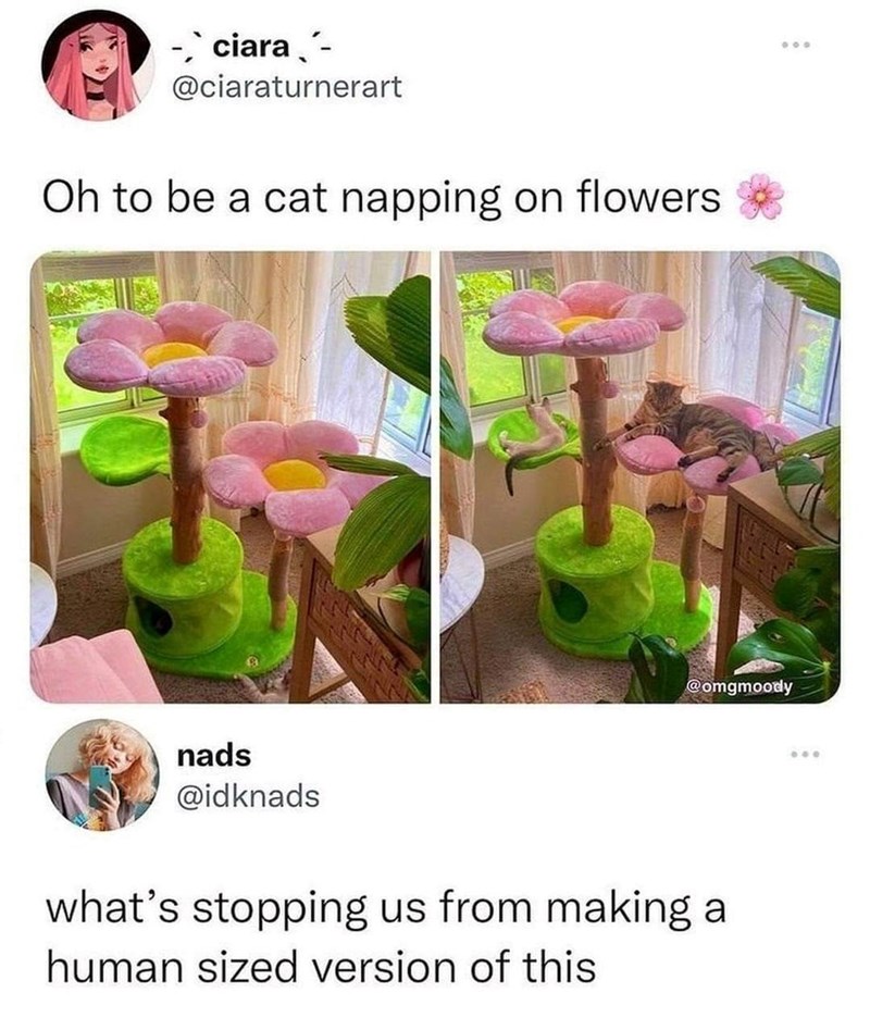 -, ciara - @ciaraturnerart Oh to be a cat napping on flowers nads @idknads 000 @omgmoody what's stopping us from making a human sized version of this 600