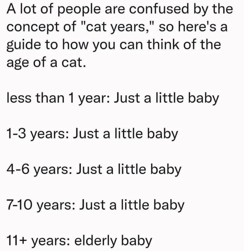 A lot of people are confused by the concept of "cat years," so here's a guide to how you can think of the age of a cat. less than 1 year: Just a little baby 1-3 years: Just a little baby 4-6 years: Just a little baby 7-10 years: Just a little baby 11+ years: elderly baby