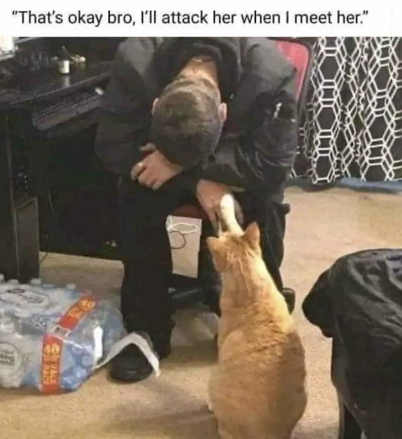 "That's okay bro, I'll attack her when I meet her." ing