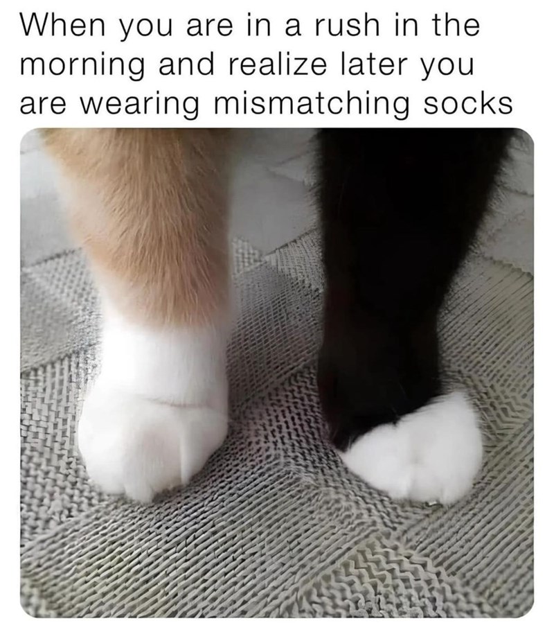 When you are in a rush in the morning and realize later you are wearing mismatching socks.