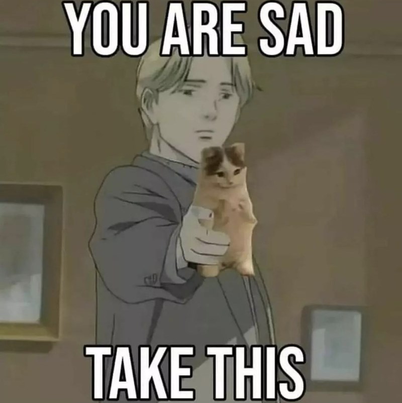 YOU ARE SAD TAKE THIS