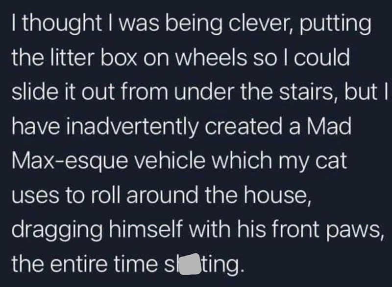I thought I was being clever, putting the litter box on wheels so I could slide it out from under the stairs, but I have inadvertently created a Mad Max-esque vehicle which my cat uses to roll around the house, dragging himself with his front paws, the entire time sting.