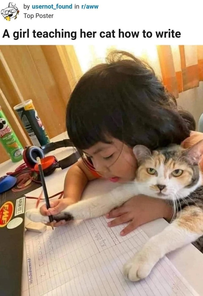 by usernot_found in r/aww Top Poster A girl teaching her cat how to write PRINGLES EME 160822 A