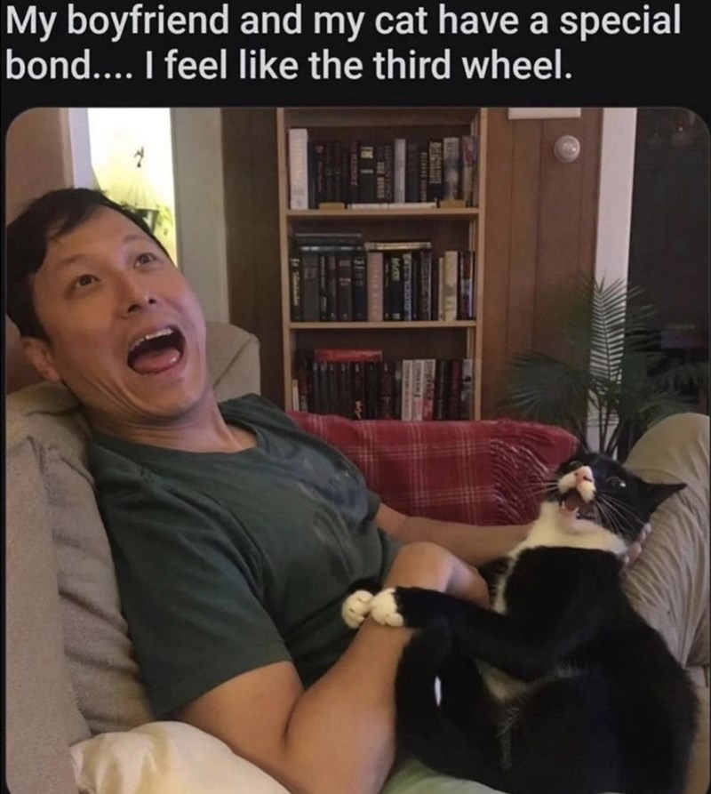 My boyfriend and my cat have a special bond.... I feel like the third wheel.