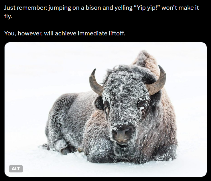 Just remember: jumping on a bison and yelling "Yip yip!" won't make it fly. You, however, will achieve immediate liftoff. ALT