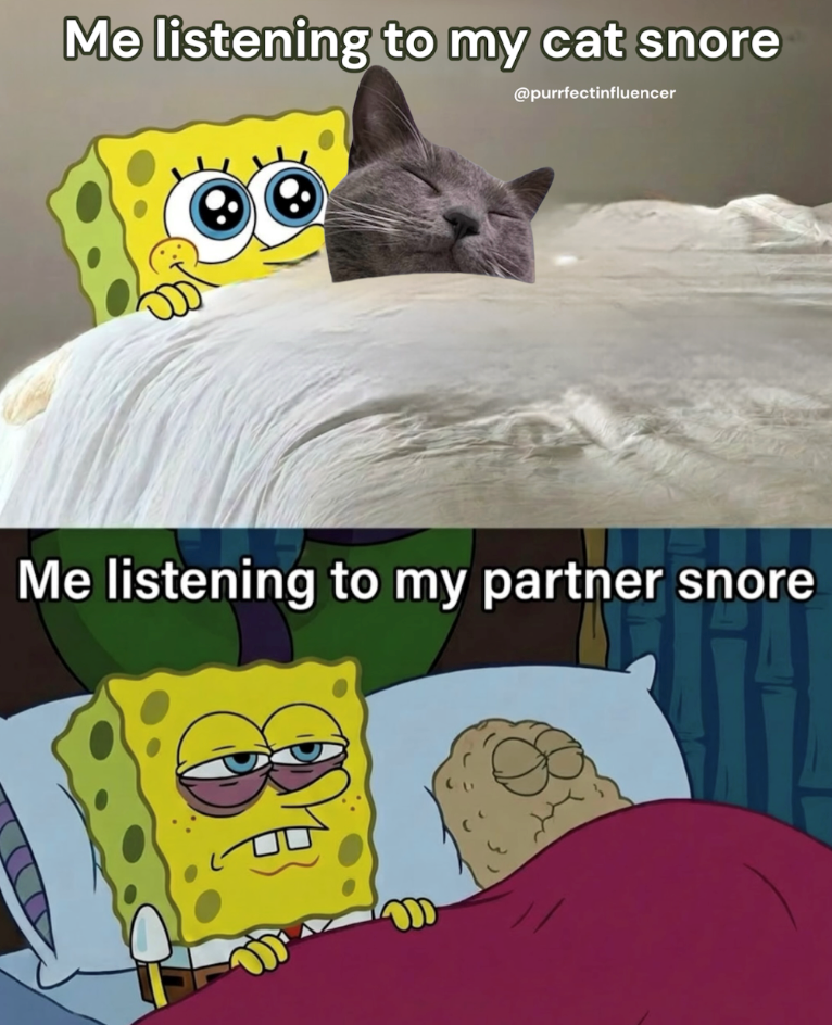 Me listening to my cat snore @purrfectinfluencer Me listening to my partner snore