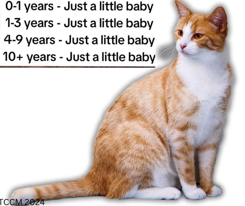 0-1 years - Just a little baby 1-3 years - Just a little baby 4-9 years - Just a little baby 10+ years - Just a little baby TCCM 2024