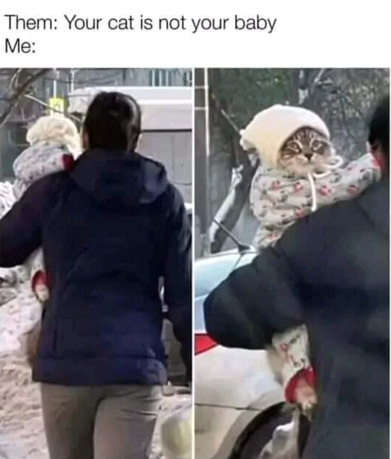 Them: Your cat is not your baby Me: