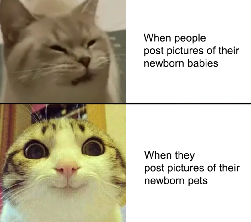 When people post pictures of their newborn babies When they post pictures of their newborn pets