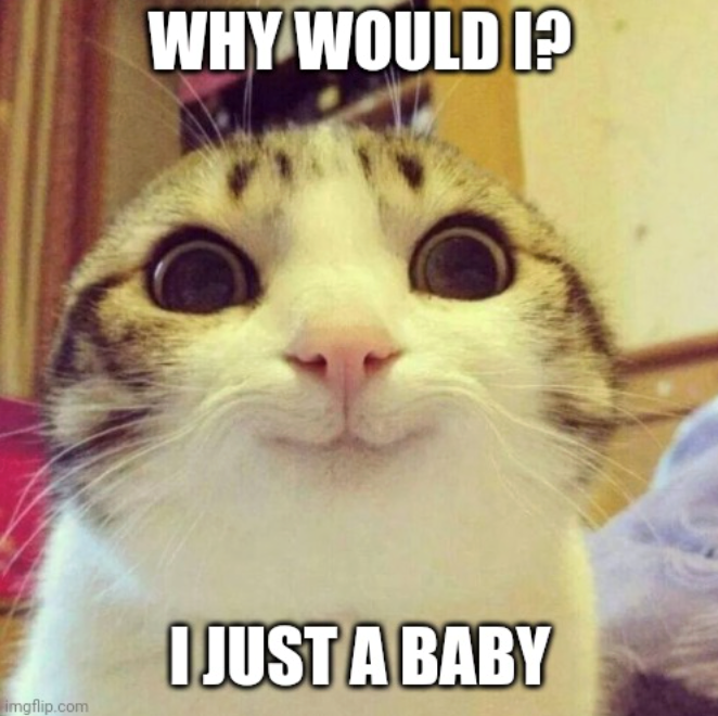 WHY WOULD I? I JUST A BABY imgflip.com