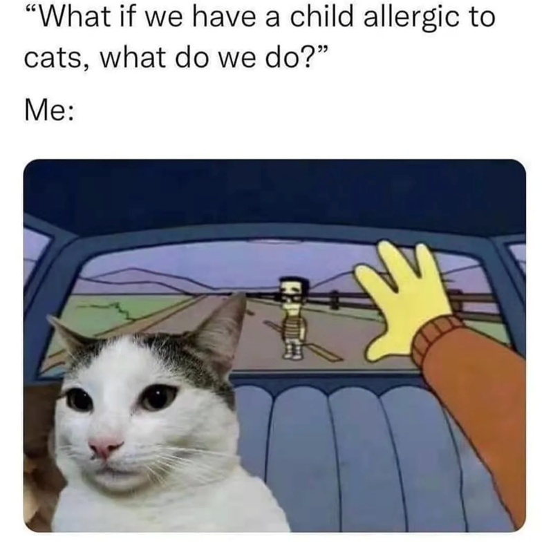 "What if we have a child allergic to cats, what do we do?" Me: