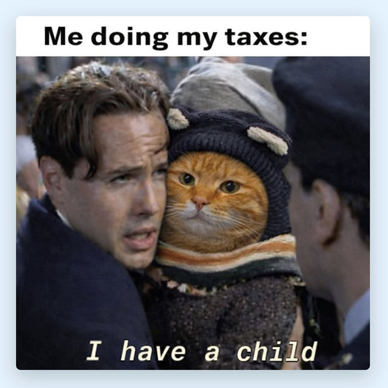 Me doing my taxes: I have a child