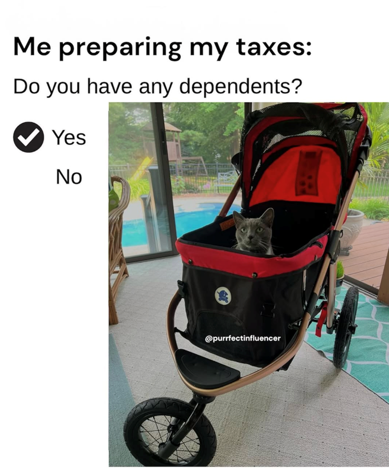 Me preparing my taxes: Do you have any dependents? Yes No @purrfectinfluencer