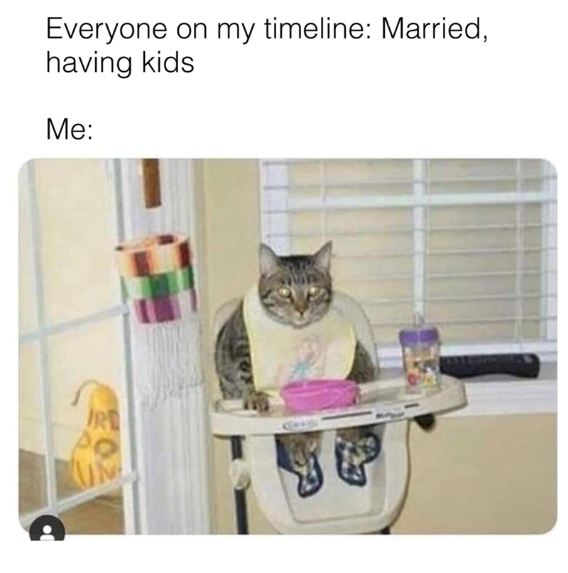Everyone on my timeline: Married, having kids Me: 202