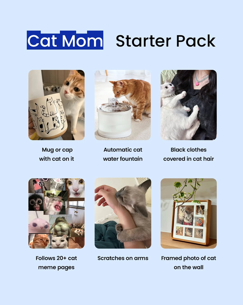 Cat Mom Starter Pack Mug or cap with cat on it Automatic cat water fountain Black clothes covered in cat hair Follows 20+ cat Scratches on arms Framed photo of cat meme pages on the wall