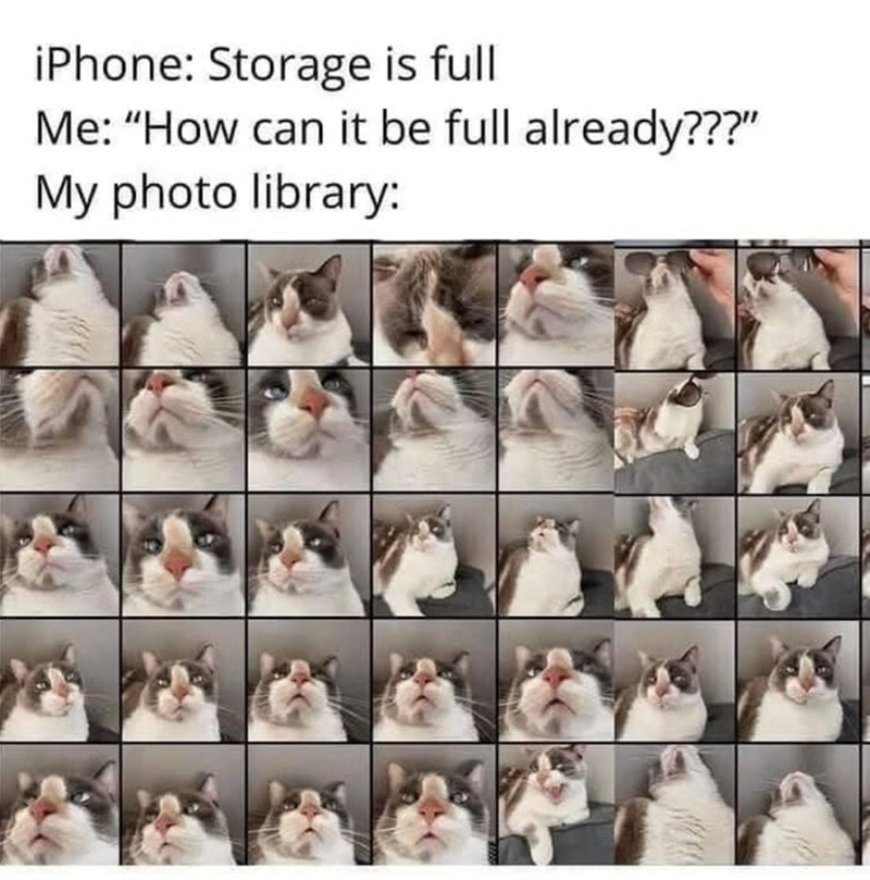 iPhone: Storage is full Me: "How can it be full already???" My photo library: