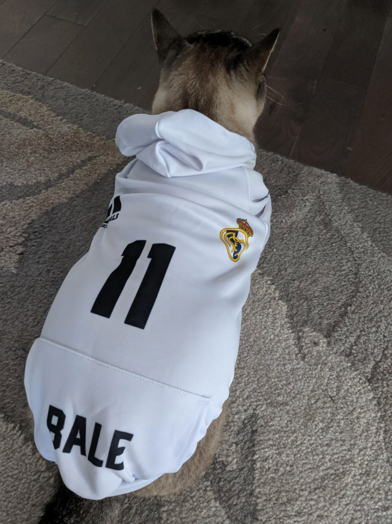 11 RALE