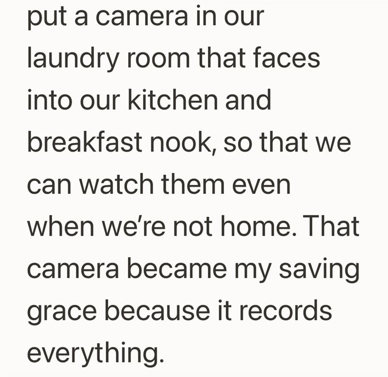 put a camera in our laundry room that faces into our kitchen and breakfast nook, so that we can watch them even when we're not home. That camera became my saving grace because it records everything.