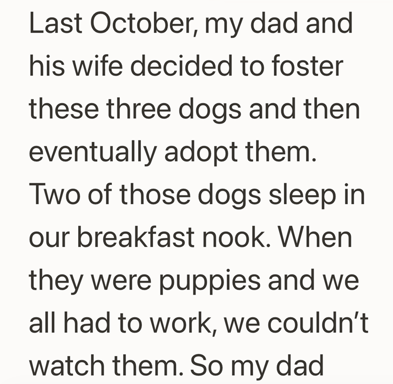 Last October, my dad and his wife decided to foster these three dogs and then eventually adopt them. Two of those dogs sleep in our breakfast nook. When they were puppies and we all had to work, we couldn't watch them. So my dad