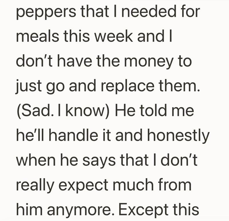 peppers that I needed for meals this week and I don't have the money to just go and replace them. (Sad. I know) He told me he'll handle it and honestly when he says that I don't really expect much from him anymore. Except this