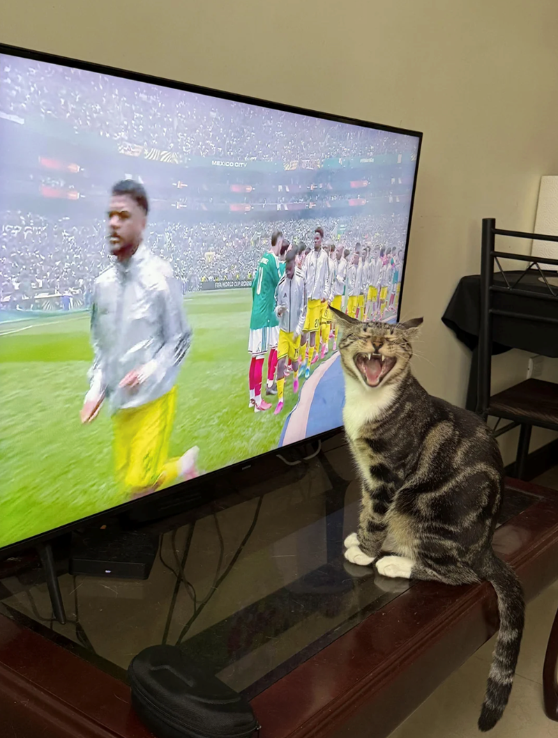 MEXICO CITY FIFA WORLD CUP 2028