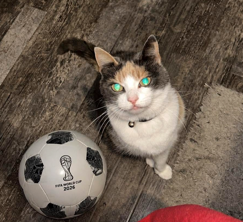 FIFA WORLD CUP 2026
