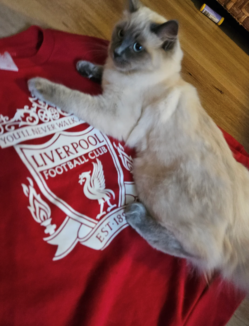 YOU'LL NEVER WALK LIVERPOOL FOOTBALL CLUB EST-18