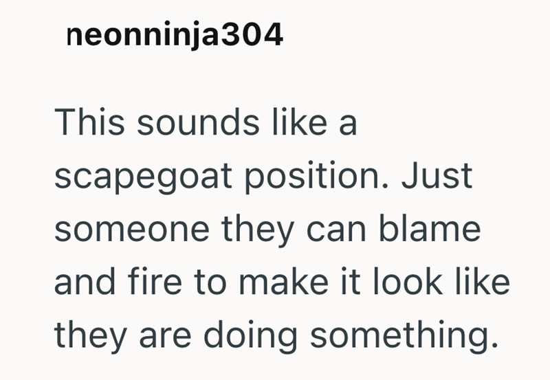 neonninja304 This sounds like a scapegoat position. Just someone they can blame and fire to make it look like they are doing something.