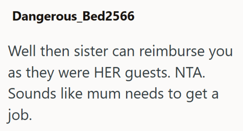 Dangerous_Bed2566 Well then sister can reimburse you as they were HER guests. NTA. Sounds like mum needs to get a job.