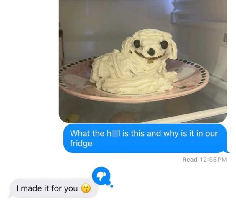 What the h l is this and why is it in our fridge I made it for you Read 12:55 PM