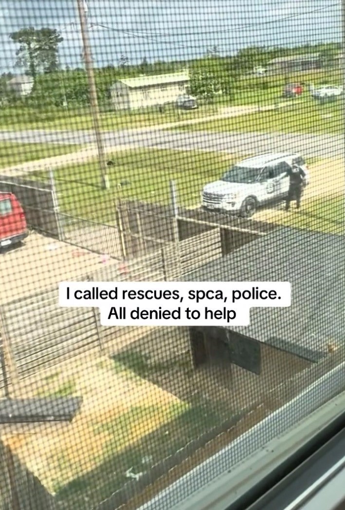 I called rescues, spca, police. All denied to help