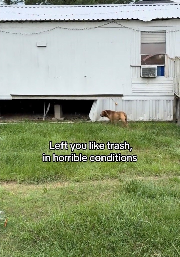 Left you like trash, in horrible conditions