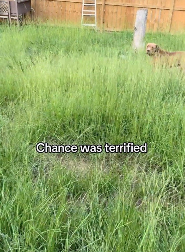 Chance was terrified
