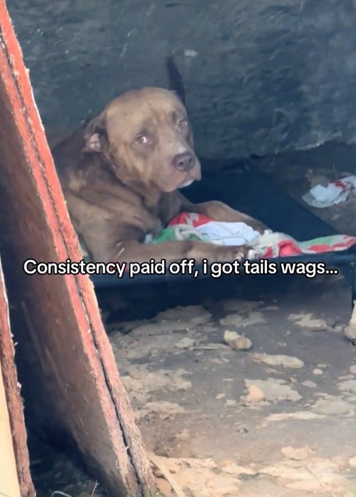 Consistency paid off, i got tails wags...