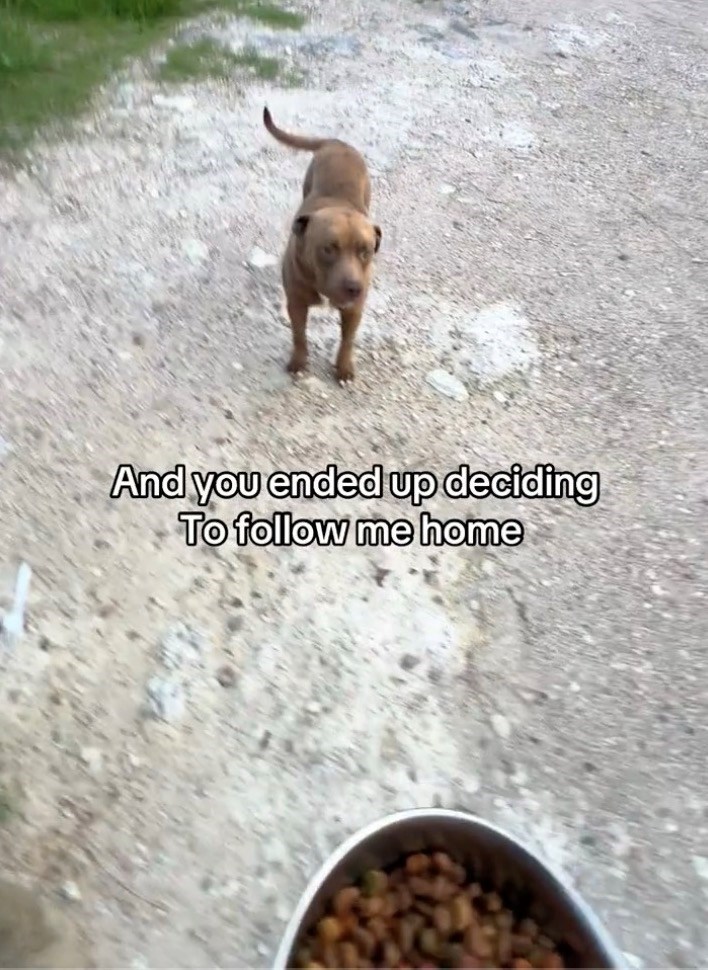 And you ended up deciding To follow me home