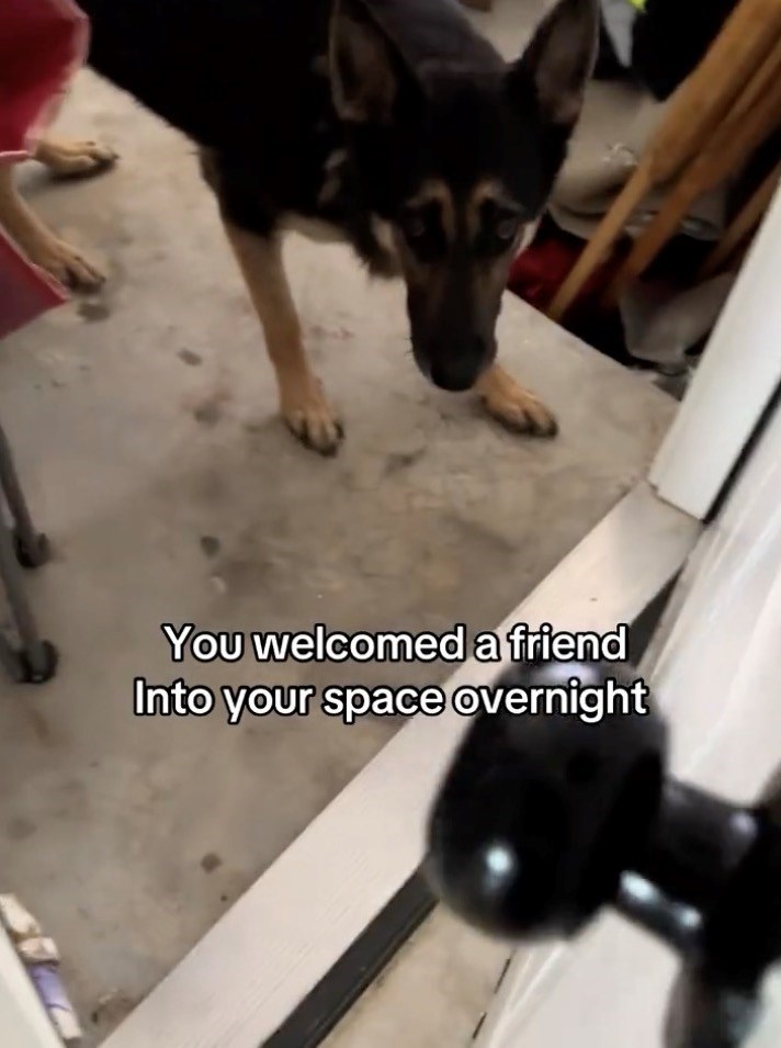 You welcomed a friend Into your space overnight