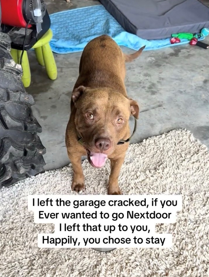 I left the garage cracked, if you Ever wanted to go Nextdoor I left that up to you, Happily, you chose to stay
