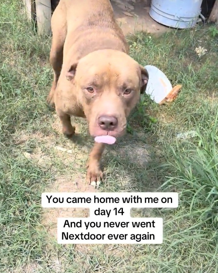You came home with me on day 14 And you never went Nextdoor ever again