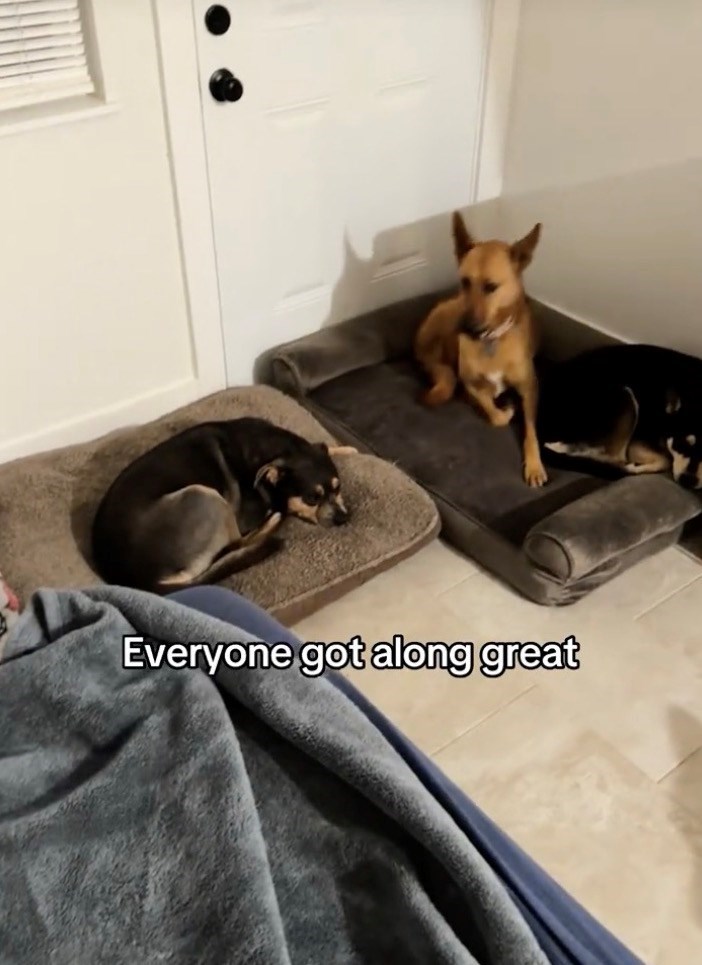 Everyone got along great