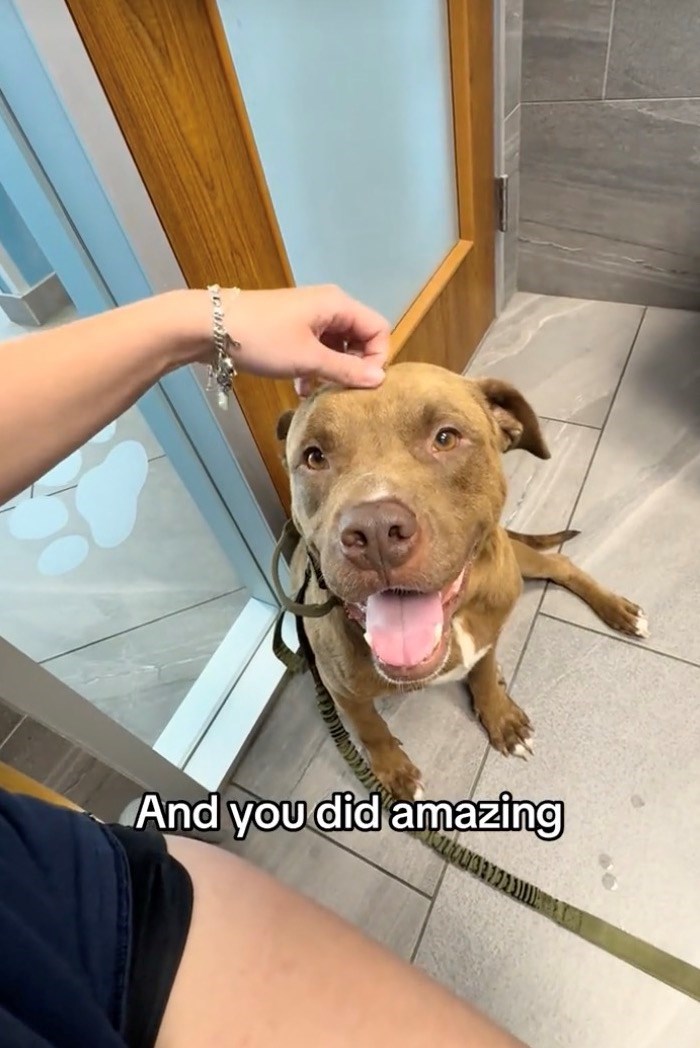 And you did amazing