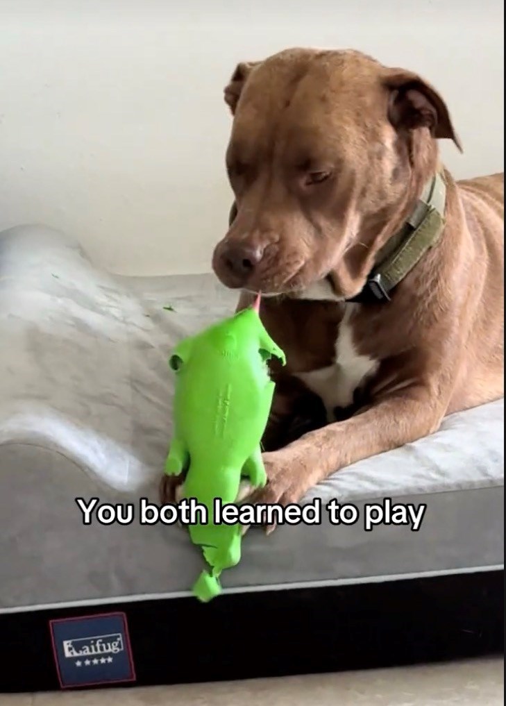 You both learned to play Faifug *****