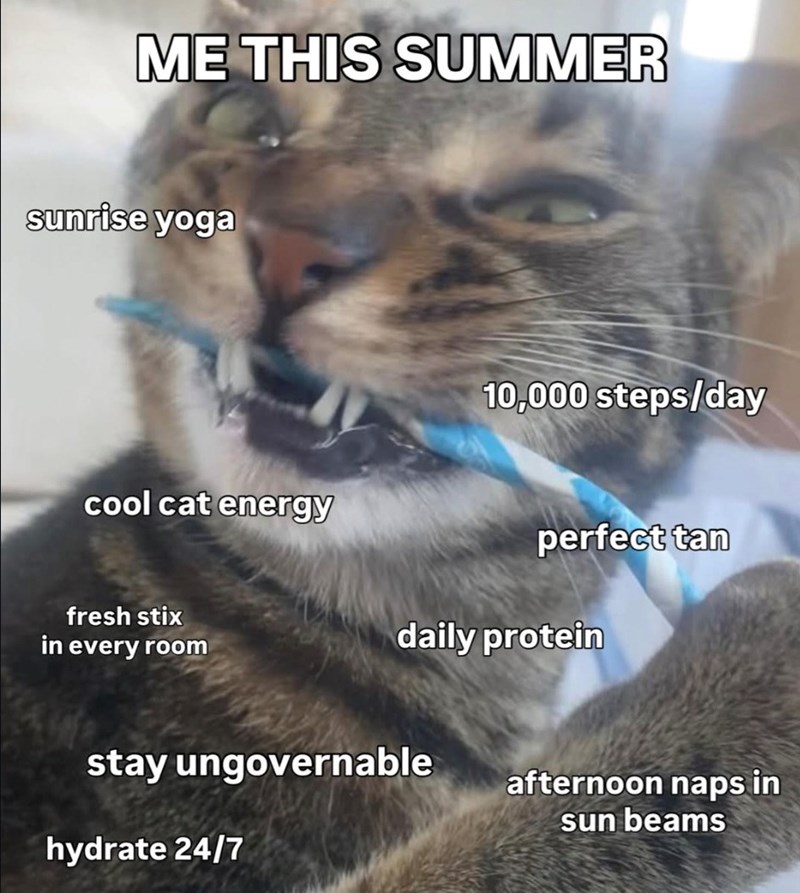 ME THIS SUMMER sunrise yoga cool cat energy fresh stix in every room 10,000 steps/day perfect tan daily protein stay ungovernable hydrate 24/7 afternoon naps in sun beams