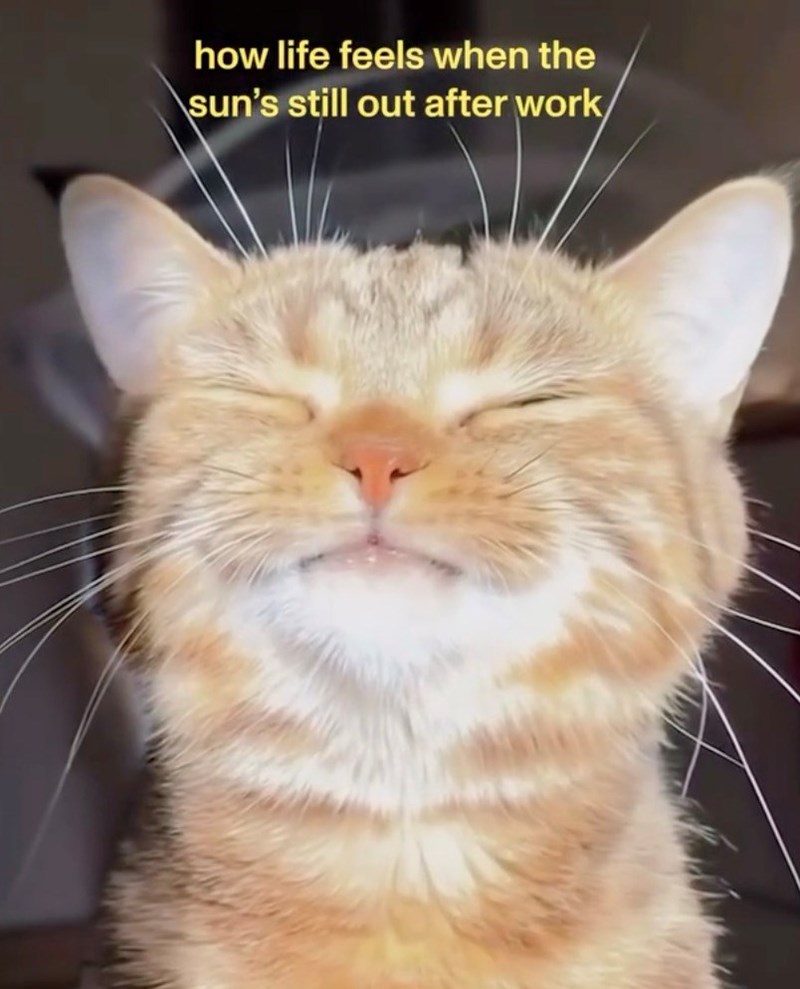 how life feels when the sun's still out after work