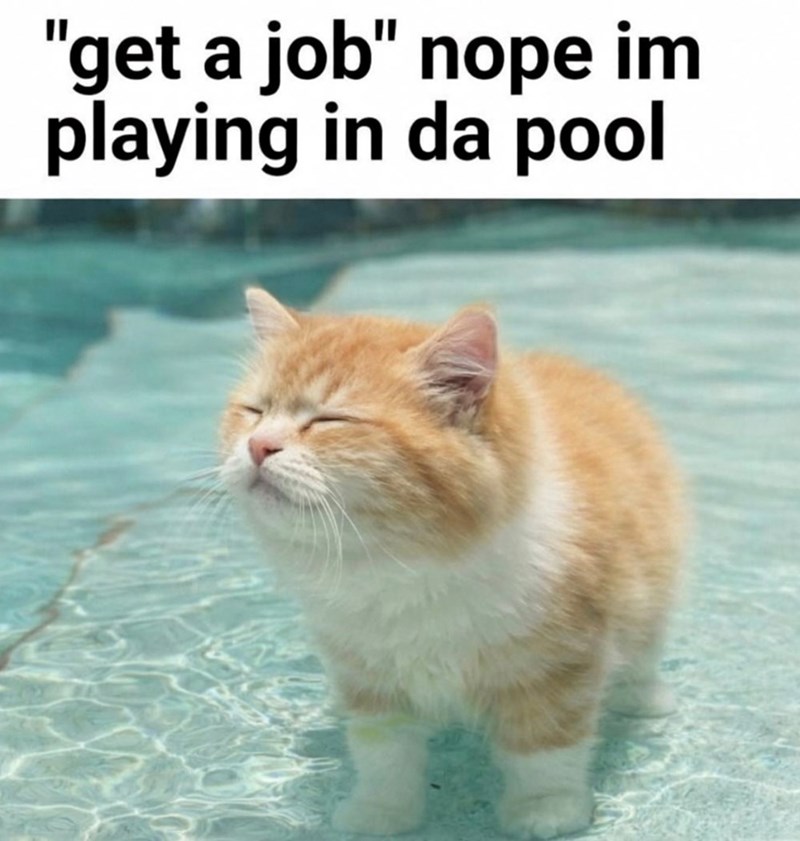 "get a job" nope im playing in da pool