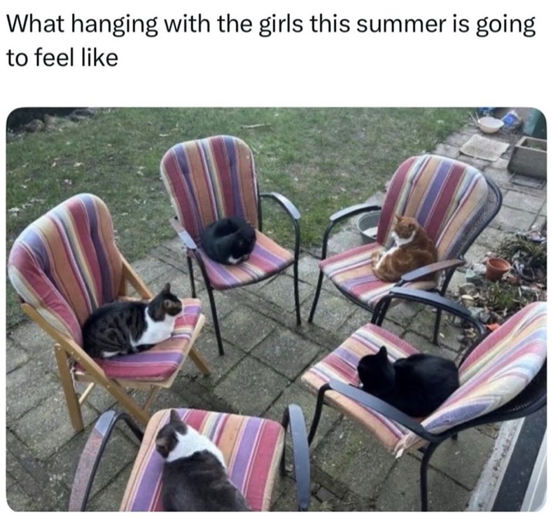 What hanging with the girls this summer is going to feel like